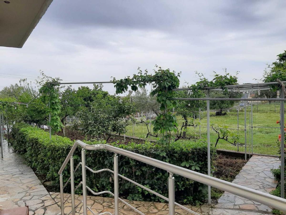 هيماري Rexhos Studios المظهر الخارجي الصورة